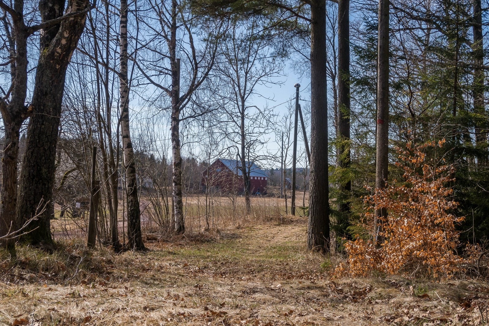 Nykirke. Galleribilde