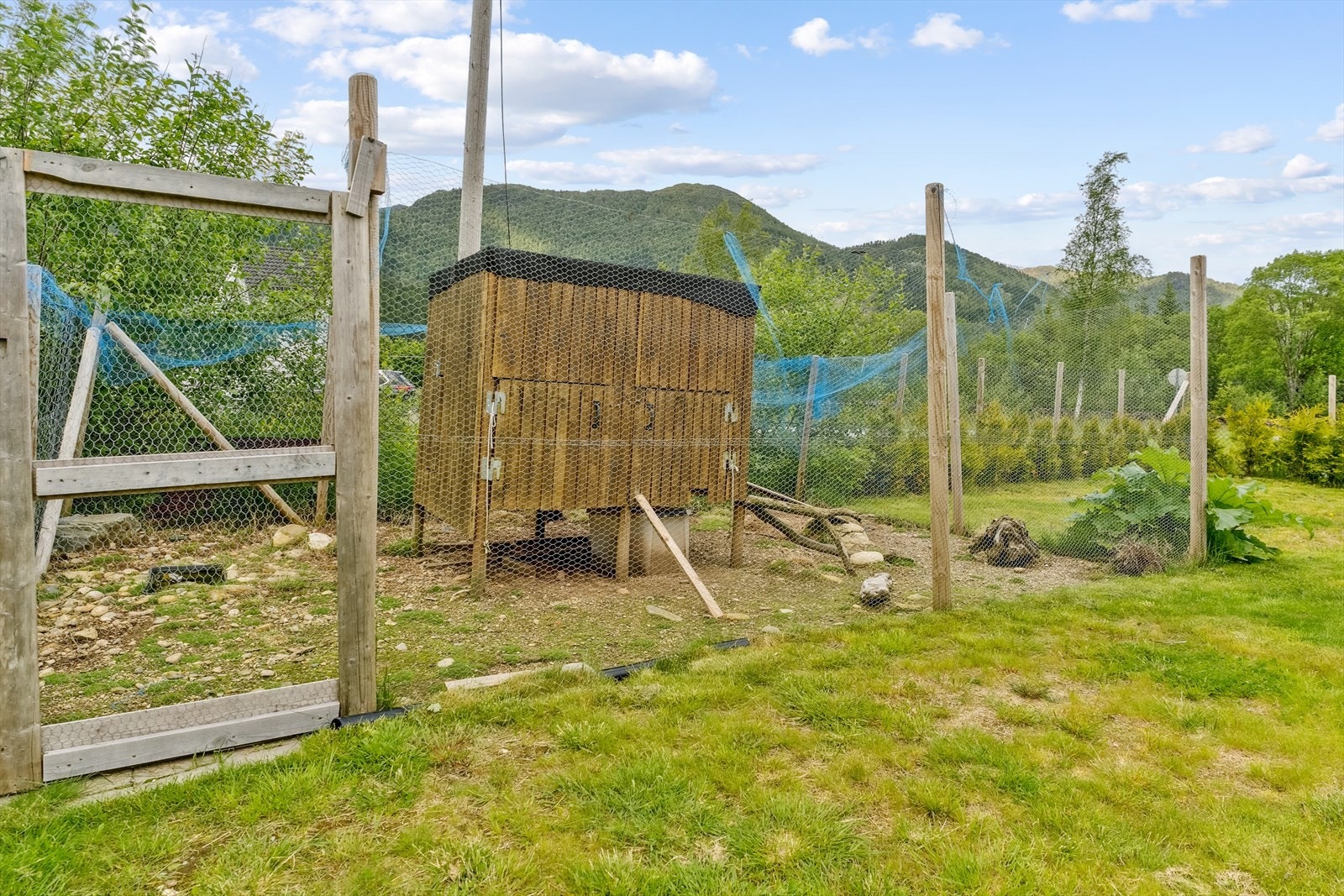 Hønsehus Galleribilde