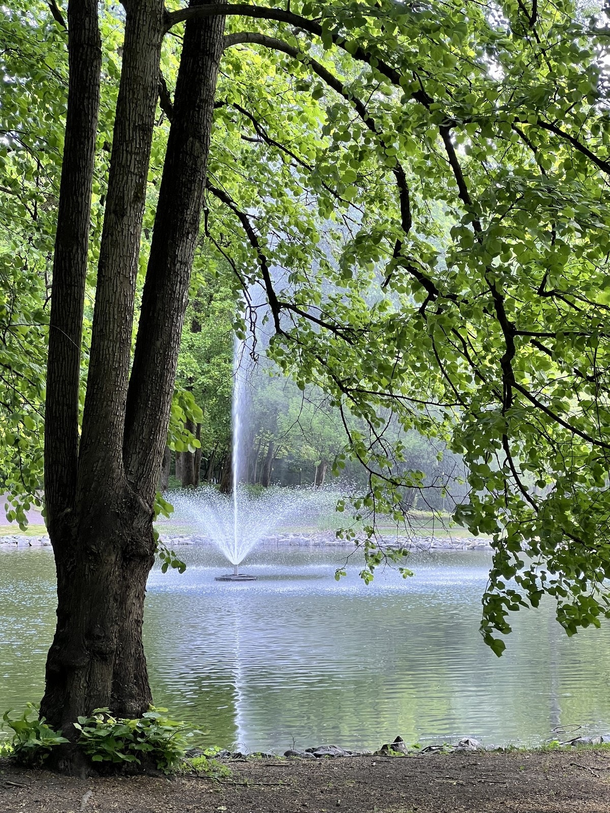 Skøyenparken på baksiden av boligen Galleribilde