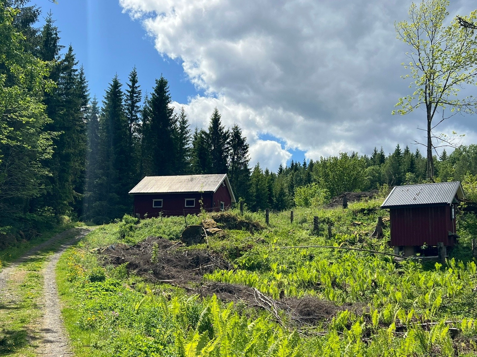 Fra Teig 1-Bjørnås-Uthus med traktorgarasje og lagringsplass, samt "varmestue" Galleribilde
