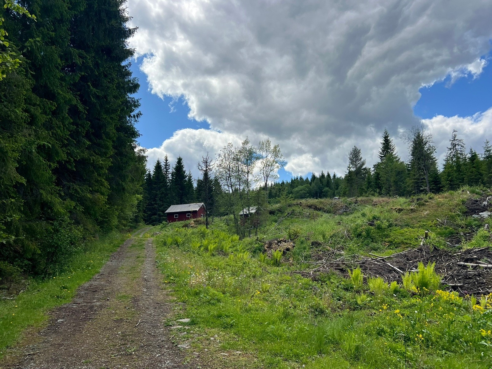 Fra Teig 1-Bjørnås Galleribilde