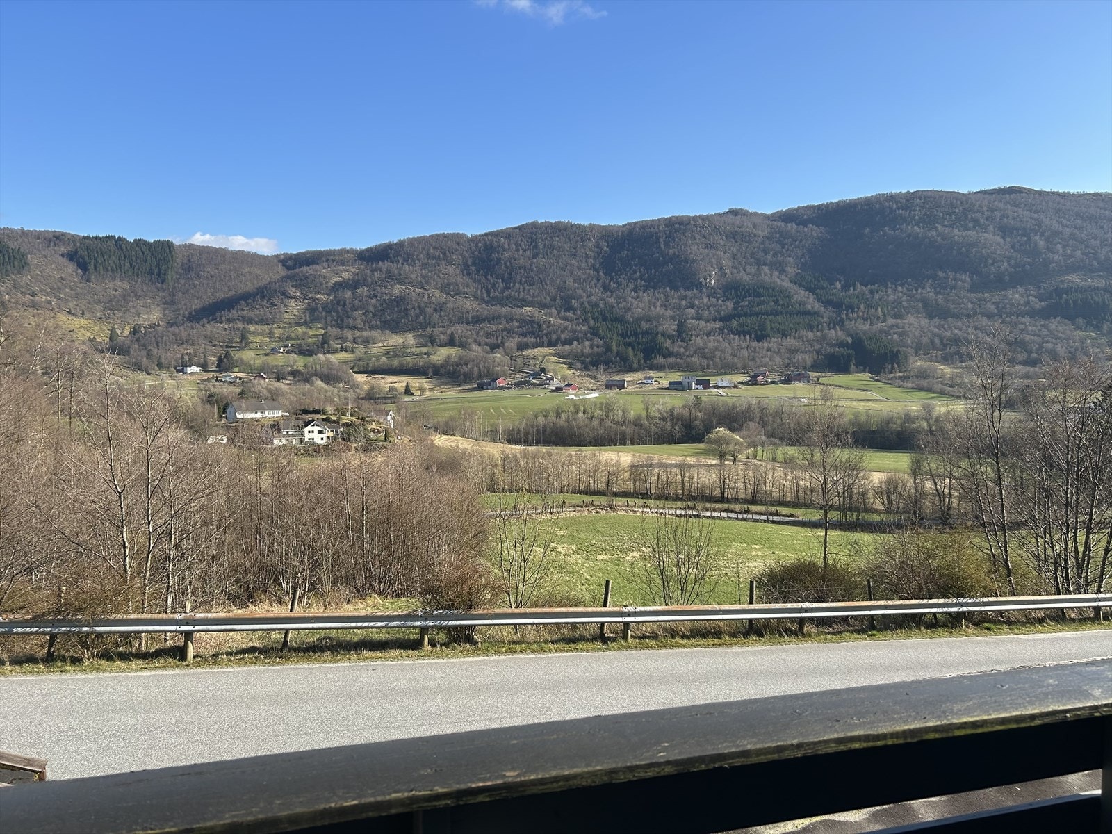 IMG_3886.jpeg Galleribilde