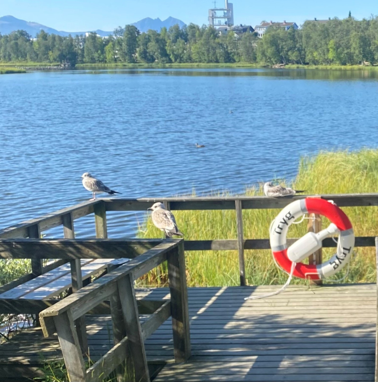 Prestvannet ligger i gangavstand fra boligen Galleribilde