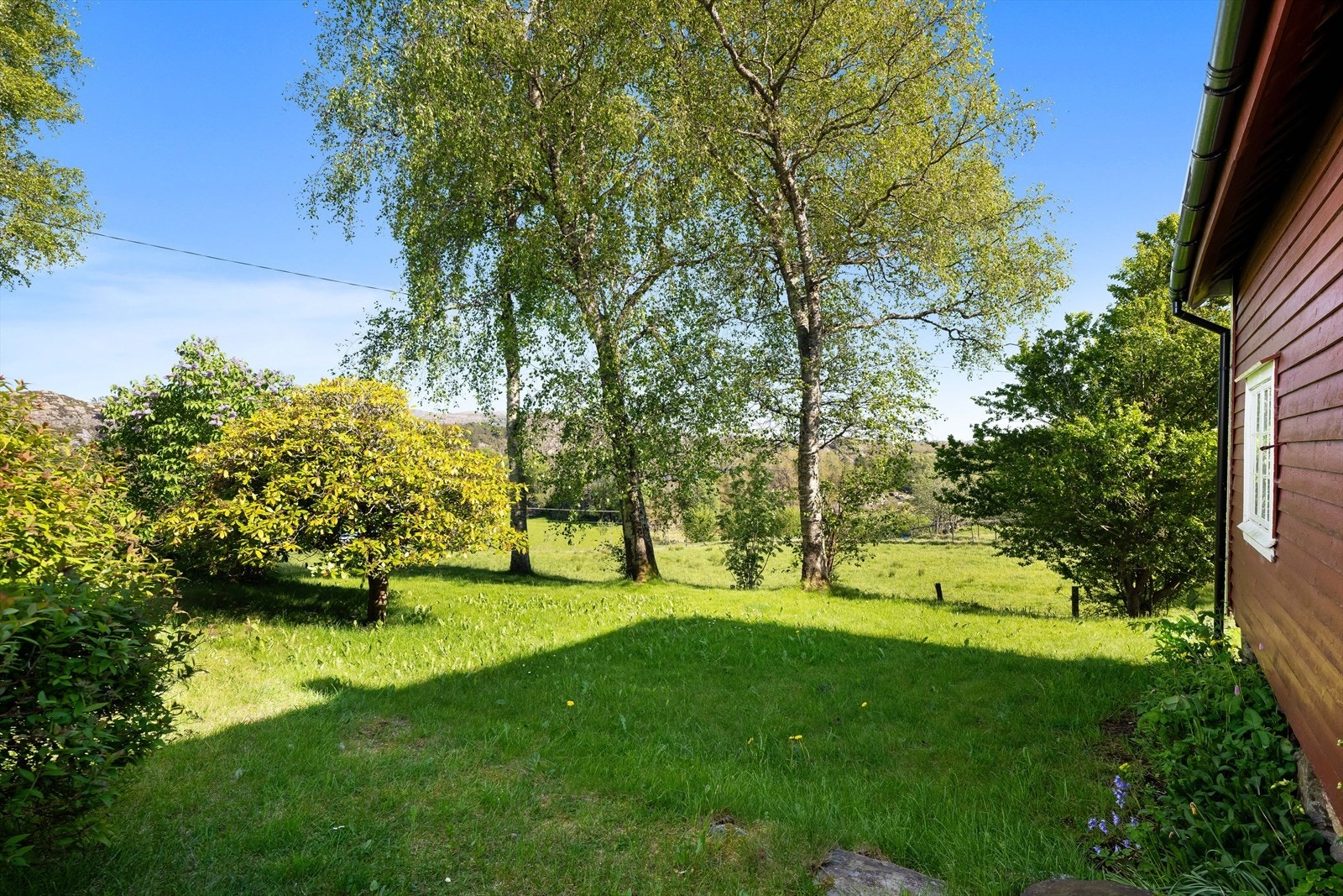 Pent opparbeidede arealer omkranser bygningene. Galleribilde