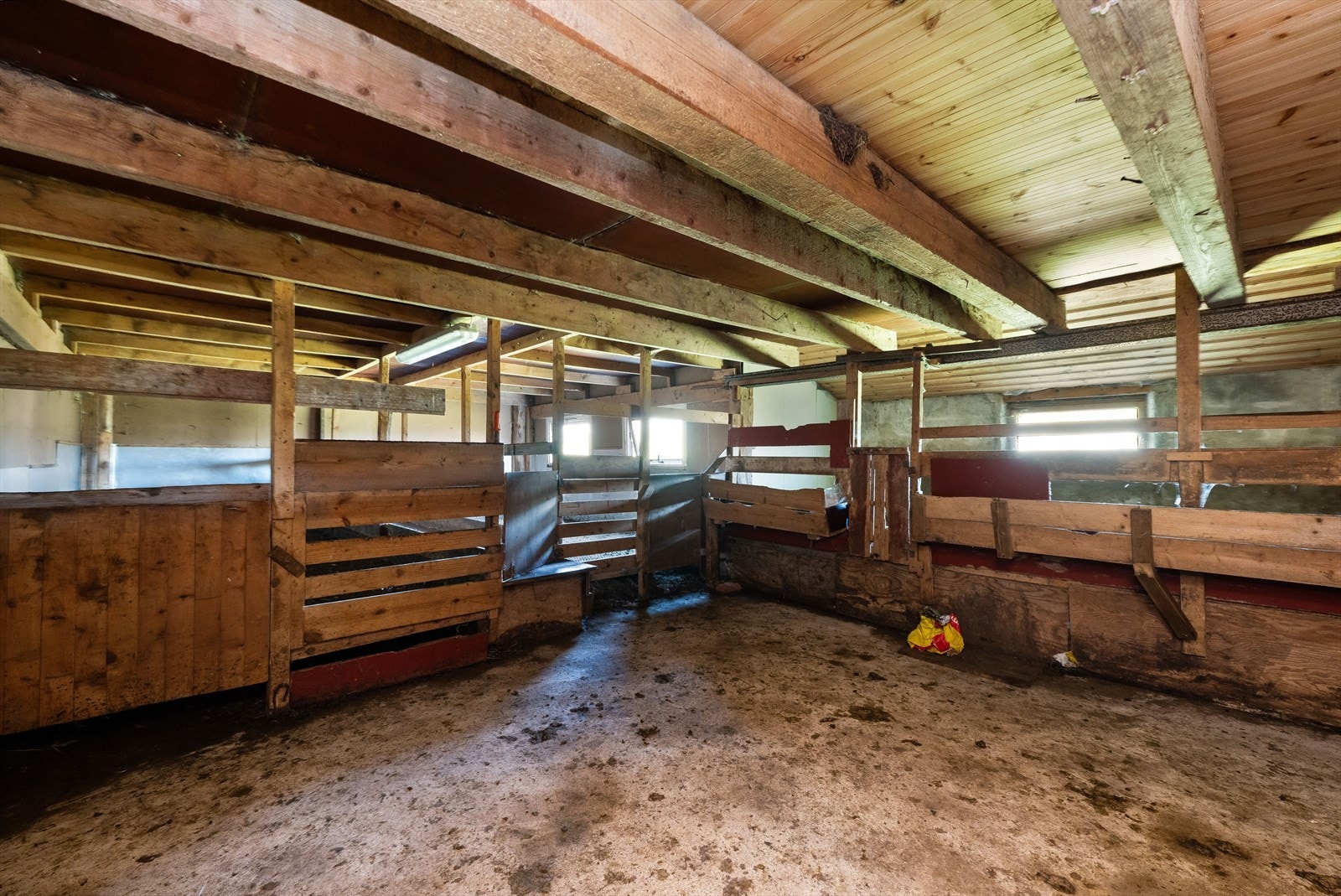 Fjøset i låvens første etasje. Galleribilde