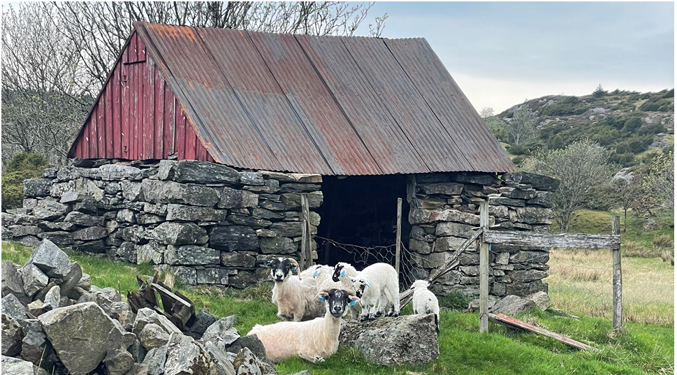 Uteløen som i sin tid ble reist i utmarken. Galleribilde