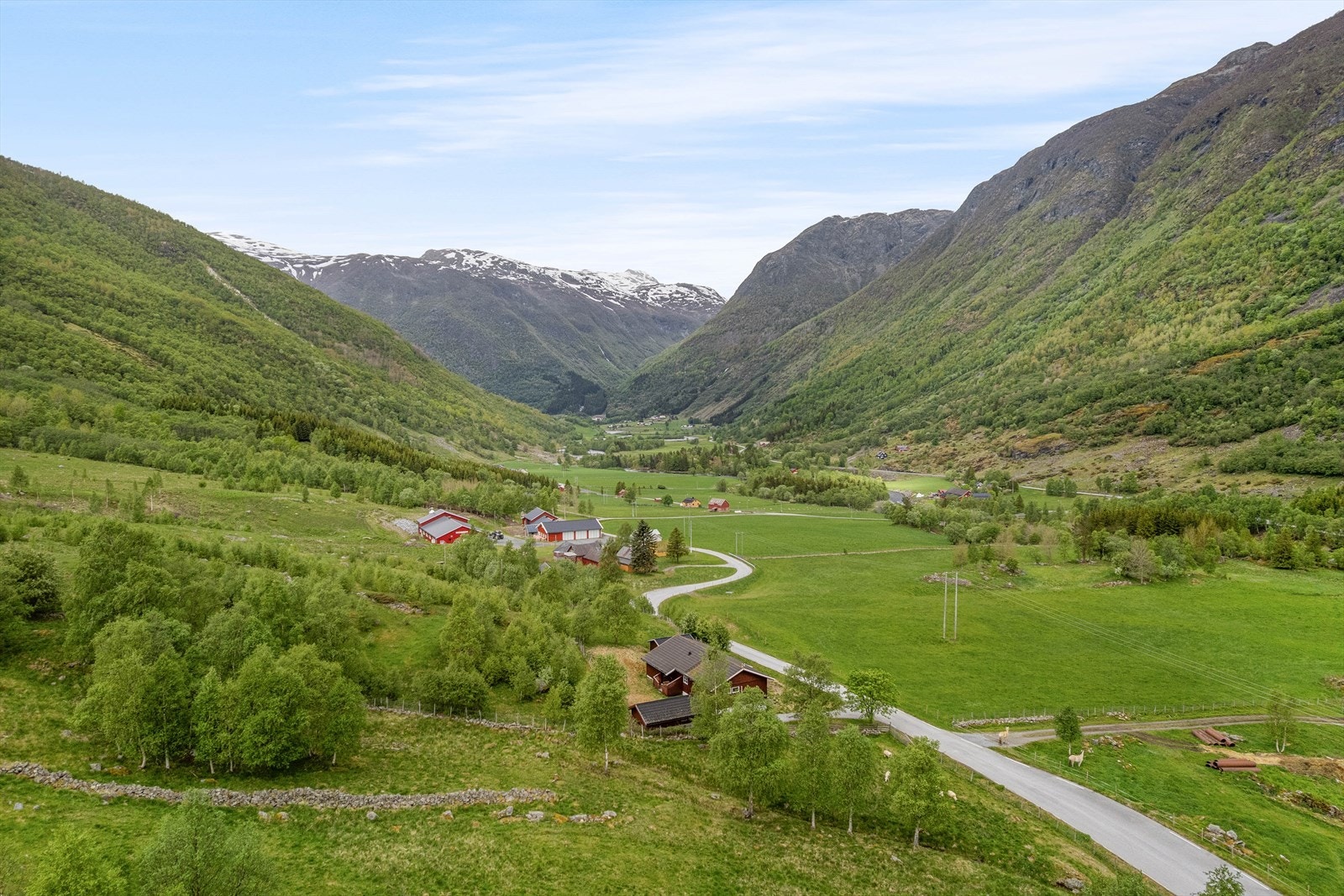 Velkomen på visning! Galleribilde