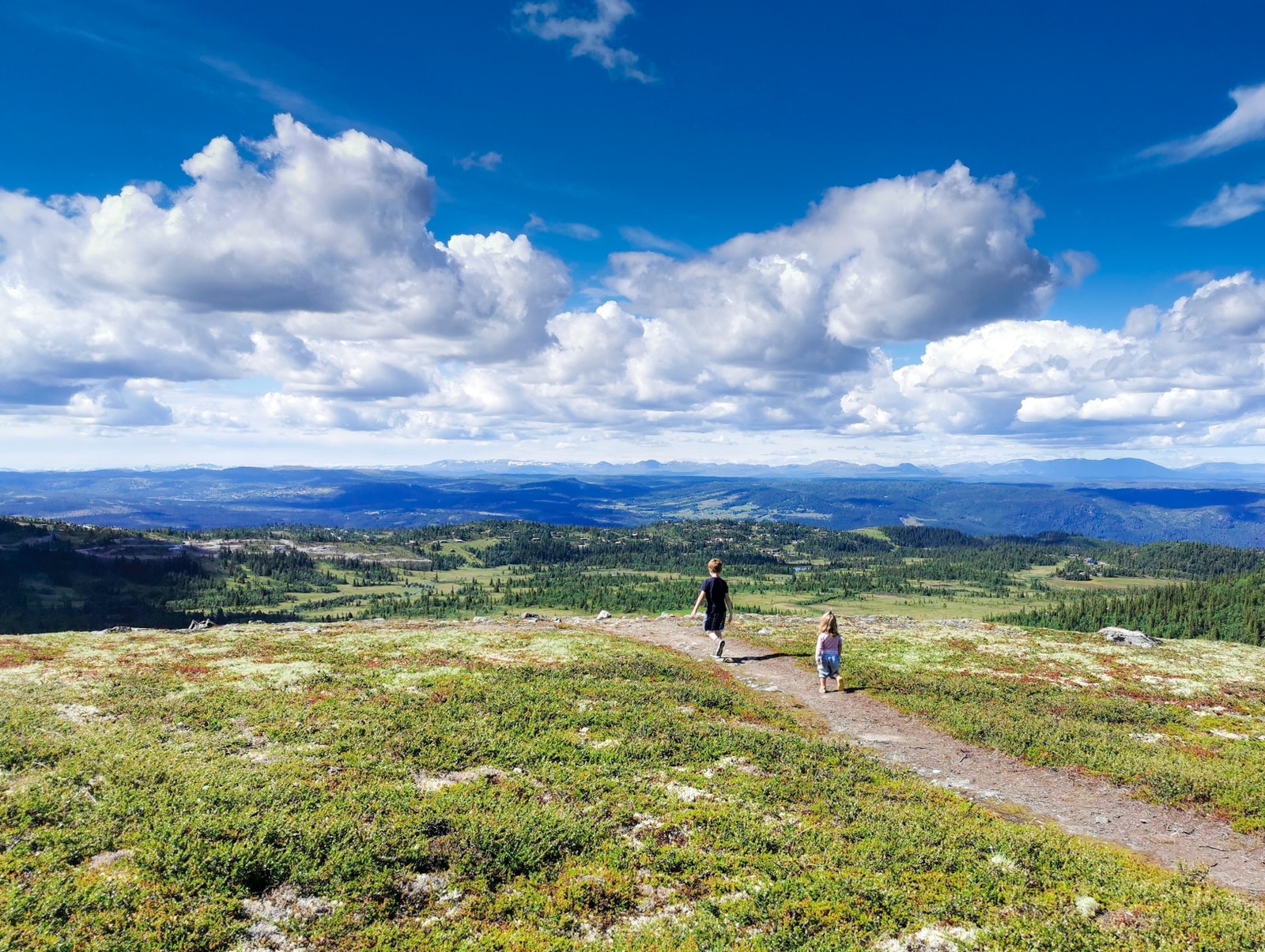 Her på vei ned fra Kvasshovd som er et av de nærmeste toppturmålene fra eiendommen Galleribilde