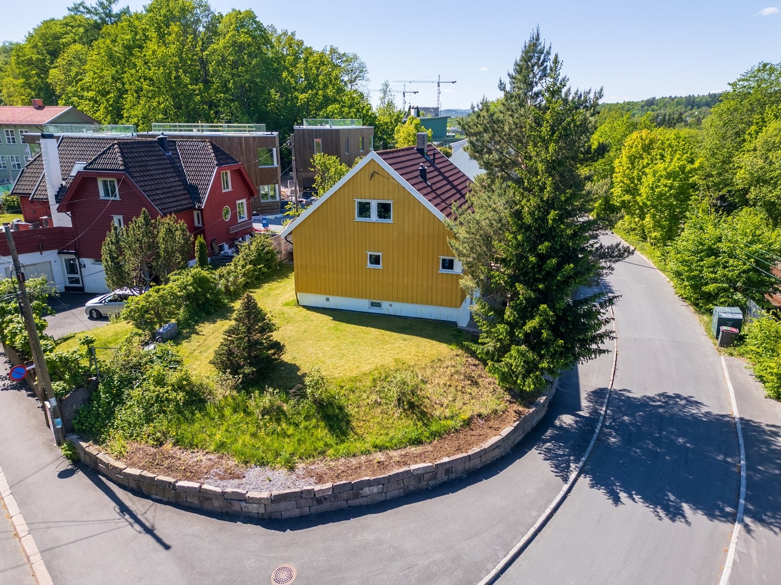 En flott og grønn endetomt Galleribilde