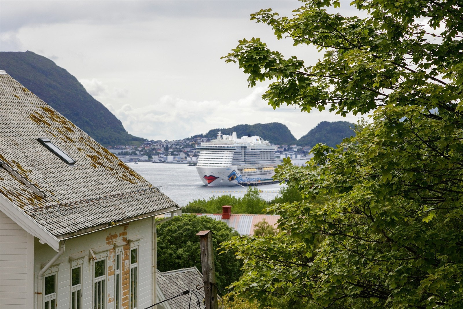 _I4A7031 Galleribilde