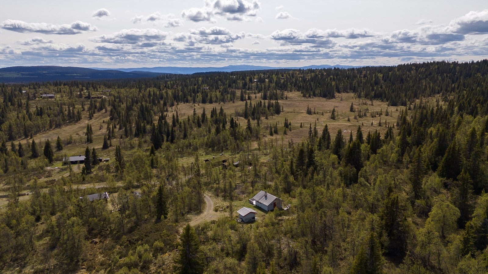 Nærområde Galleribilde