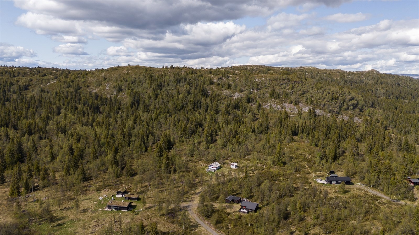 Nærområde Galleribilde