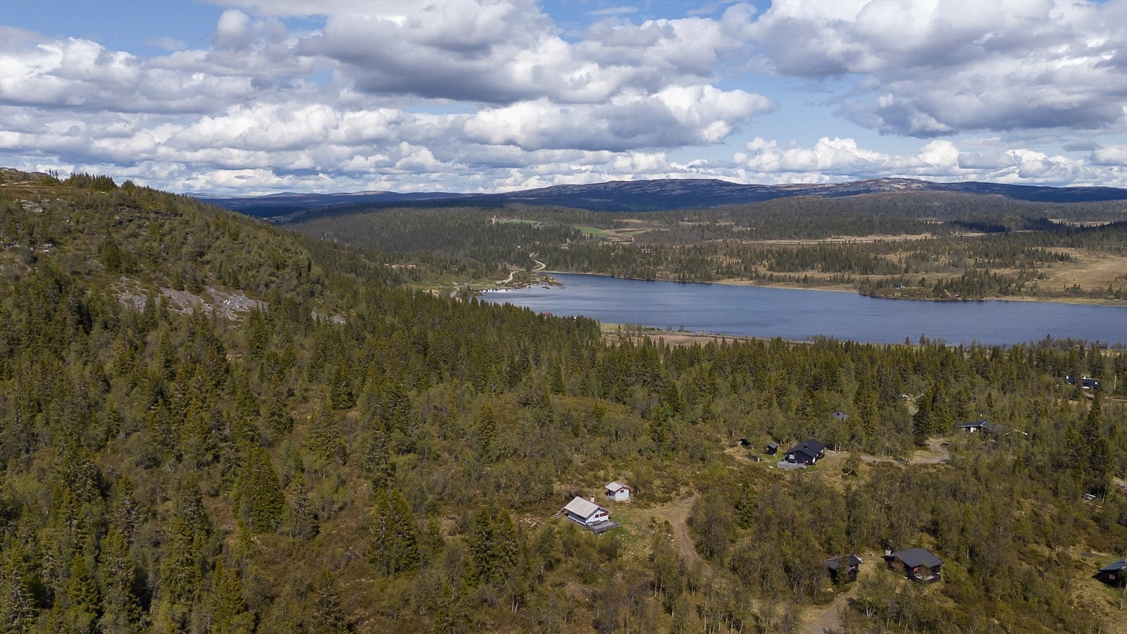 Nærområde Galleribilde