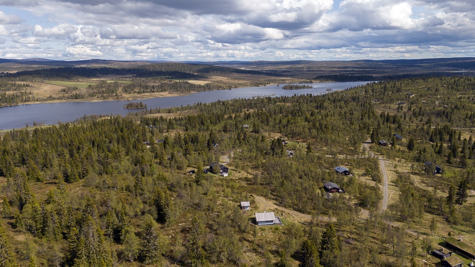 Nærområde Galleribilde