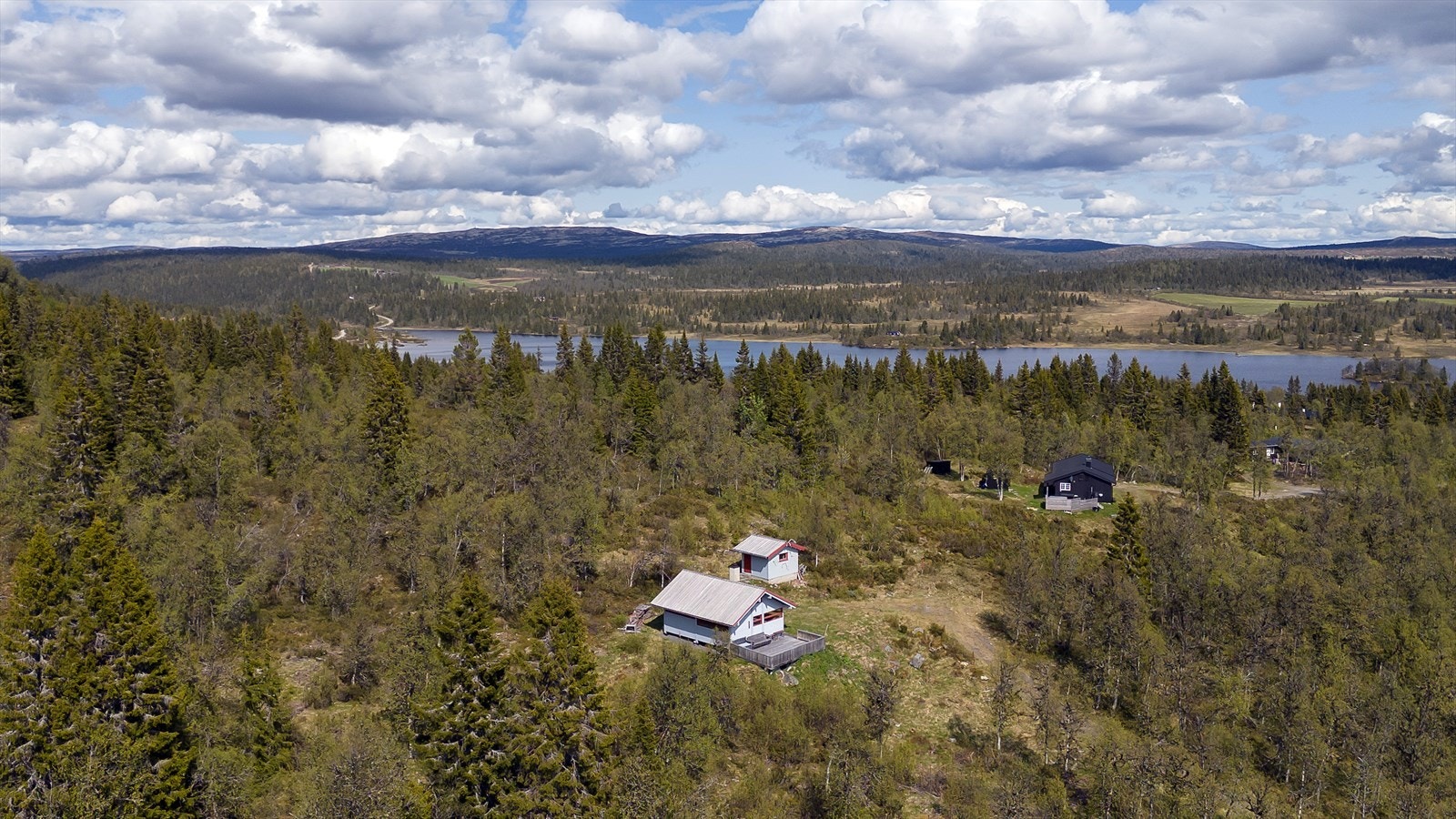 Nærområde Galleribilde