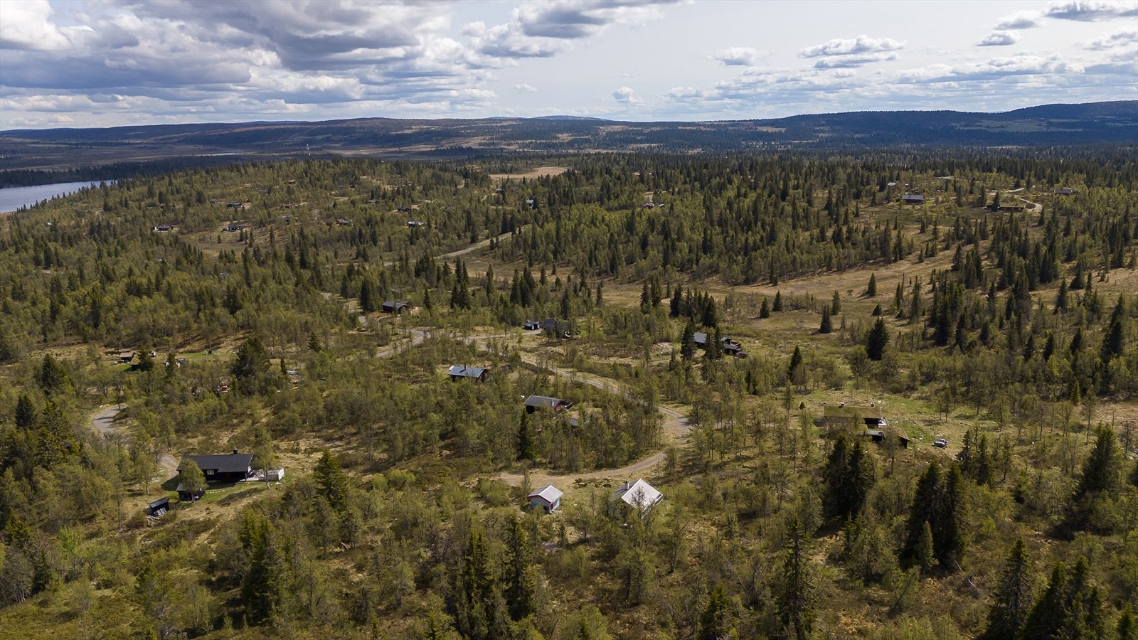 Nærområde Galleribilde