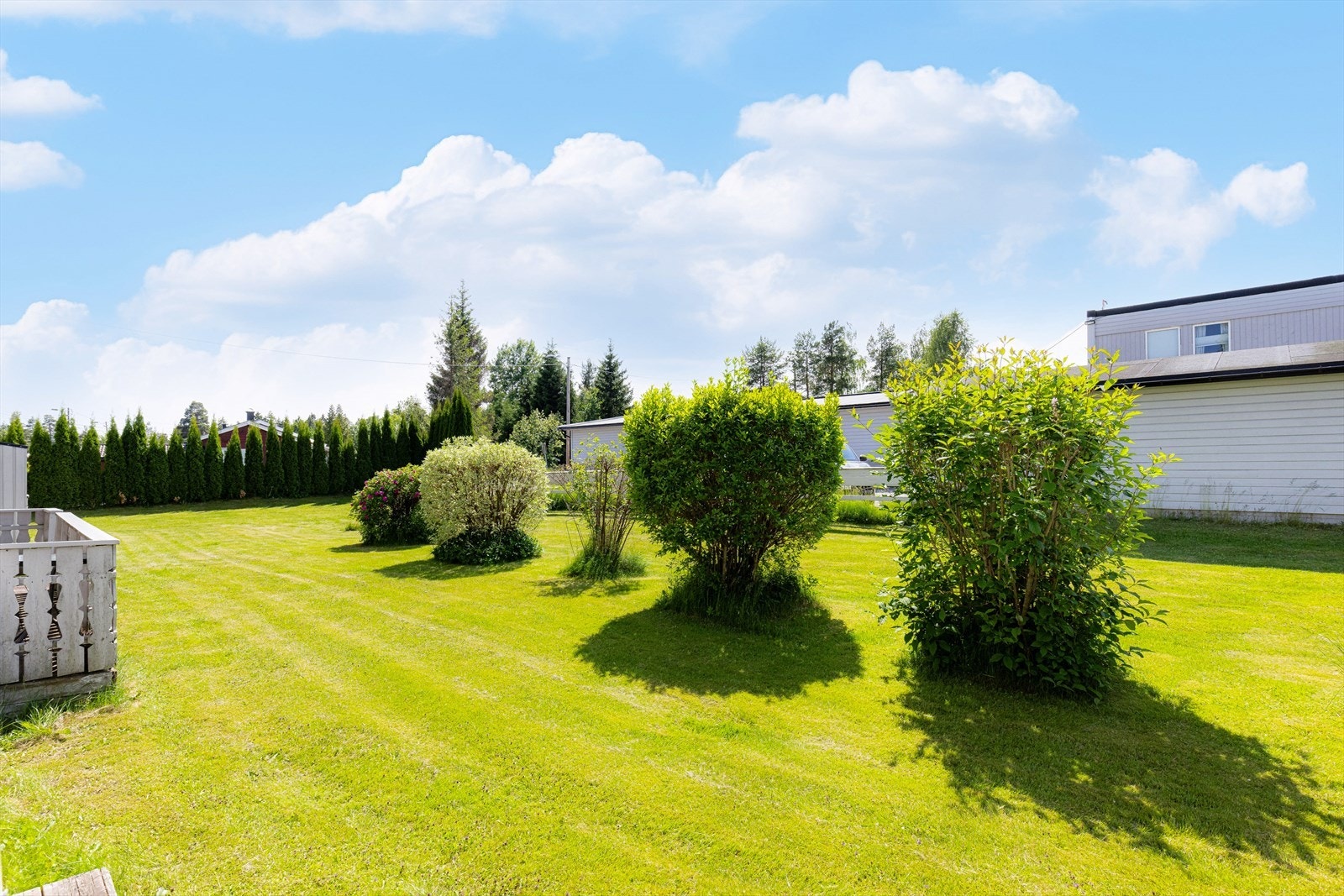 Fellesareal. Galleribilde