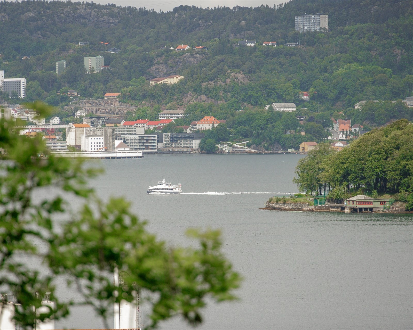 Nydelig utsikt. Galleribilde