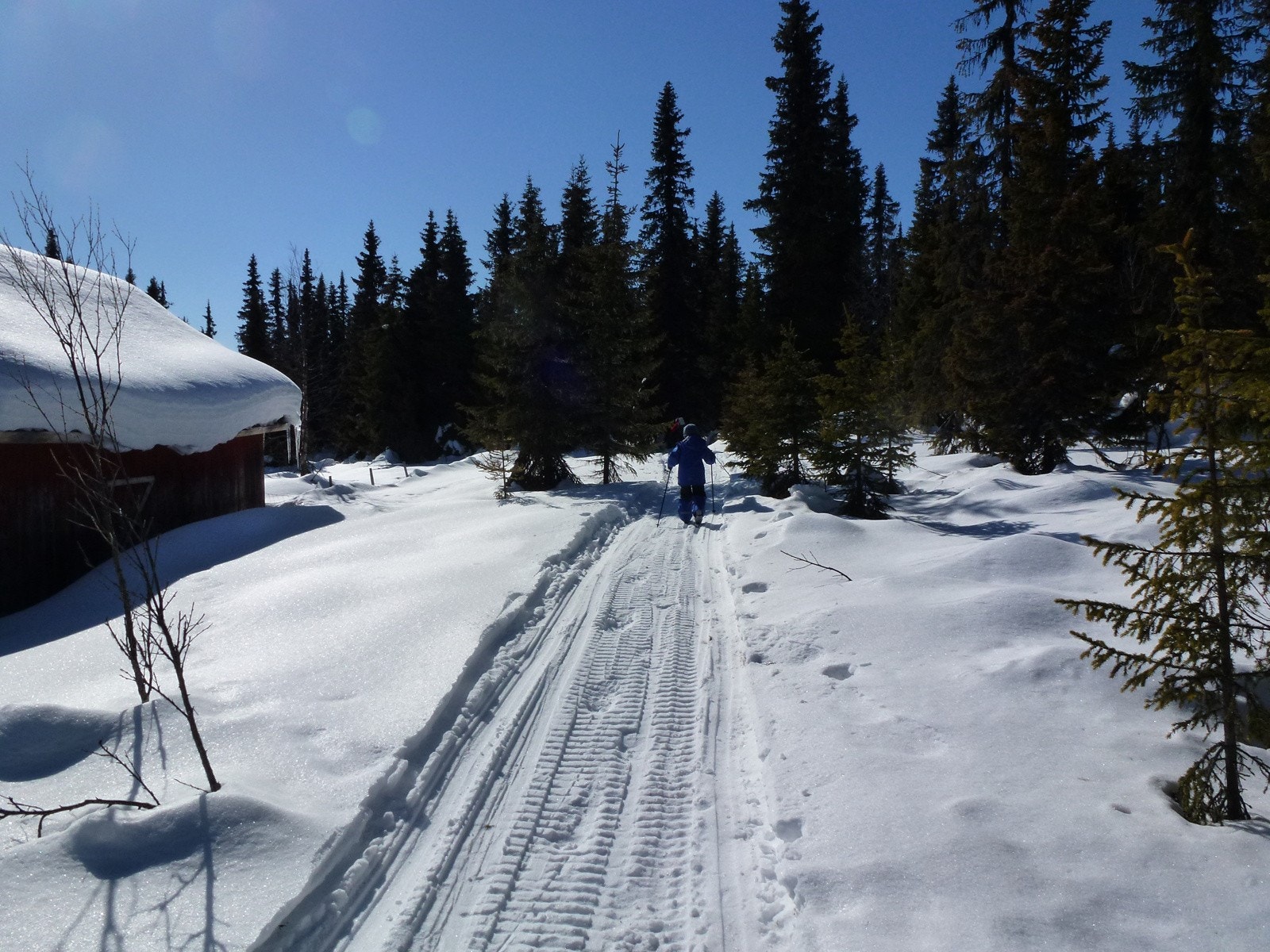 Fine turmuligheter året rundt - Bilde fra selgers arkiv Galleribilde