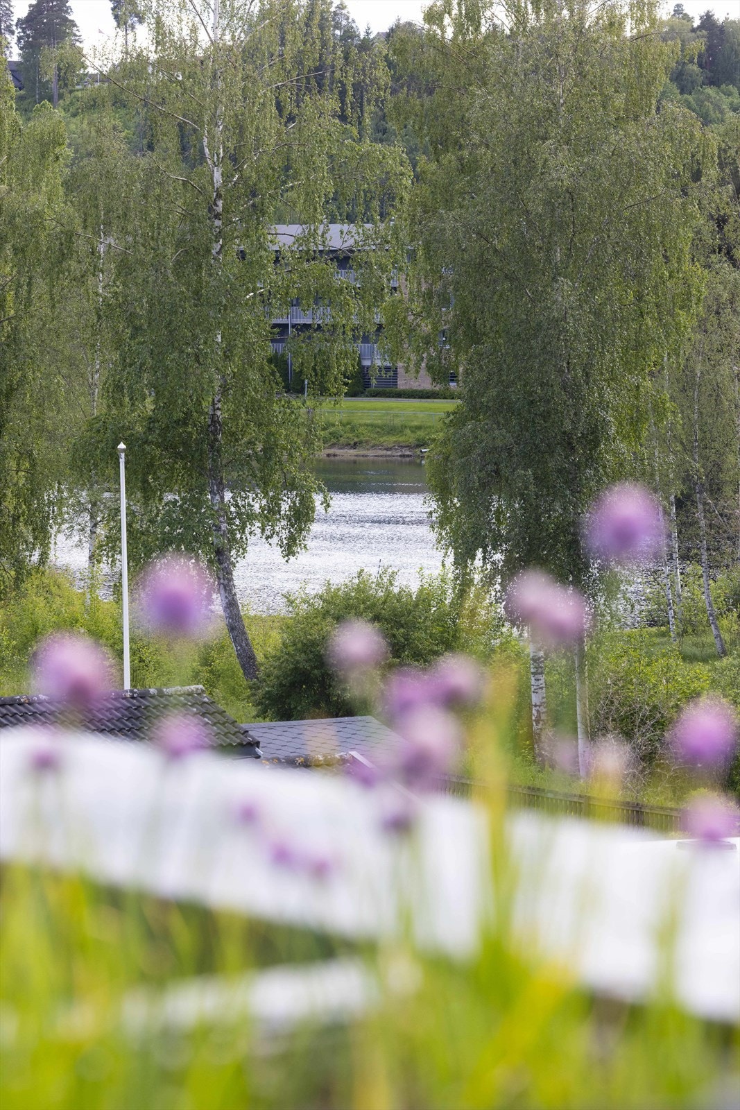 Eiendommen ligger i et barnevennlig område med gangsti langs elven ned til Hønefoss sentrum. Galleribilde