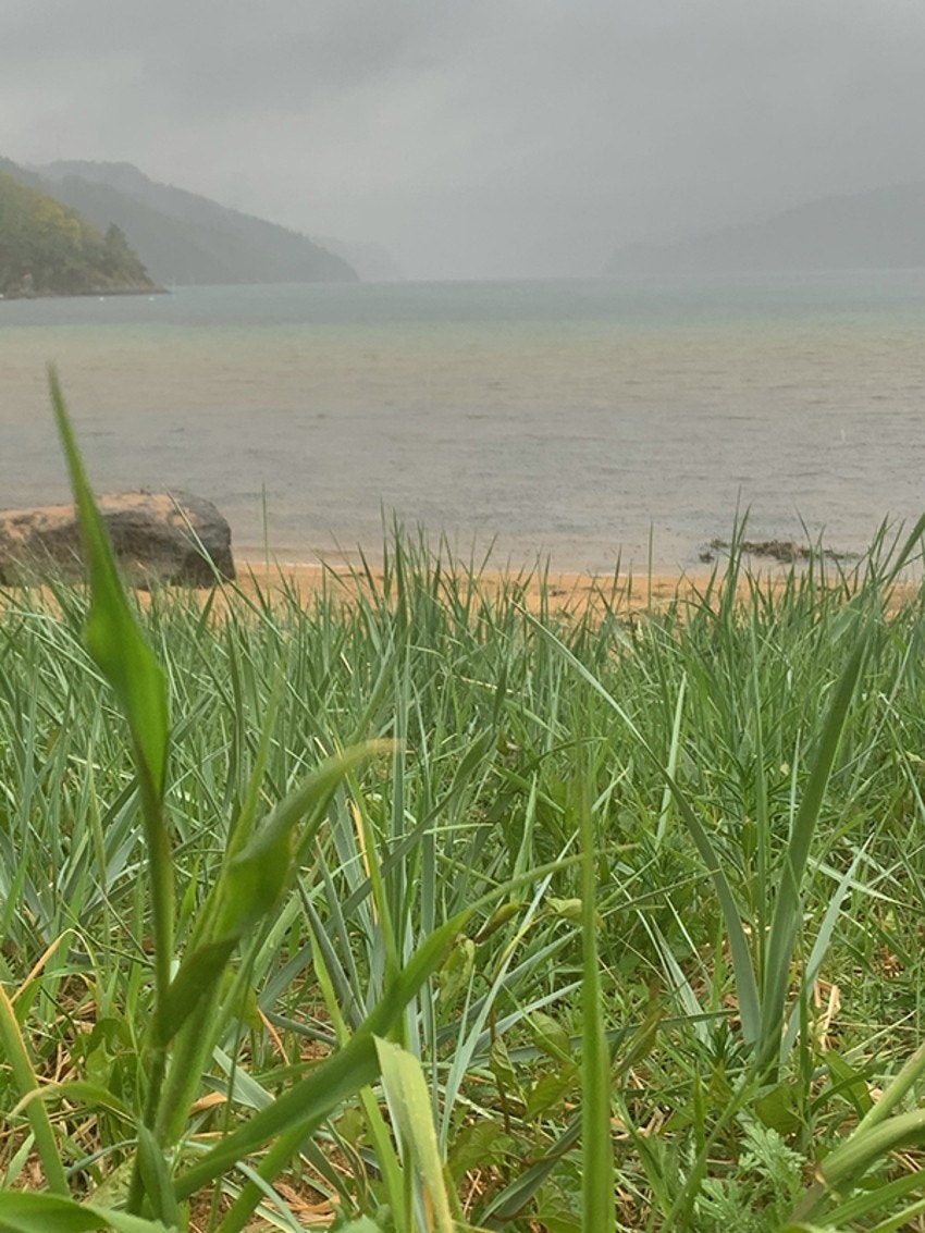 4757659_1-jnudkb.jpg Galleribilde