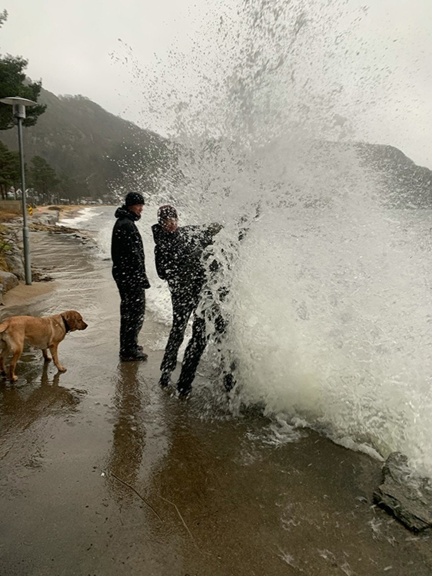 4757663_1-edmhgb.jpg Galleribilde