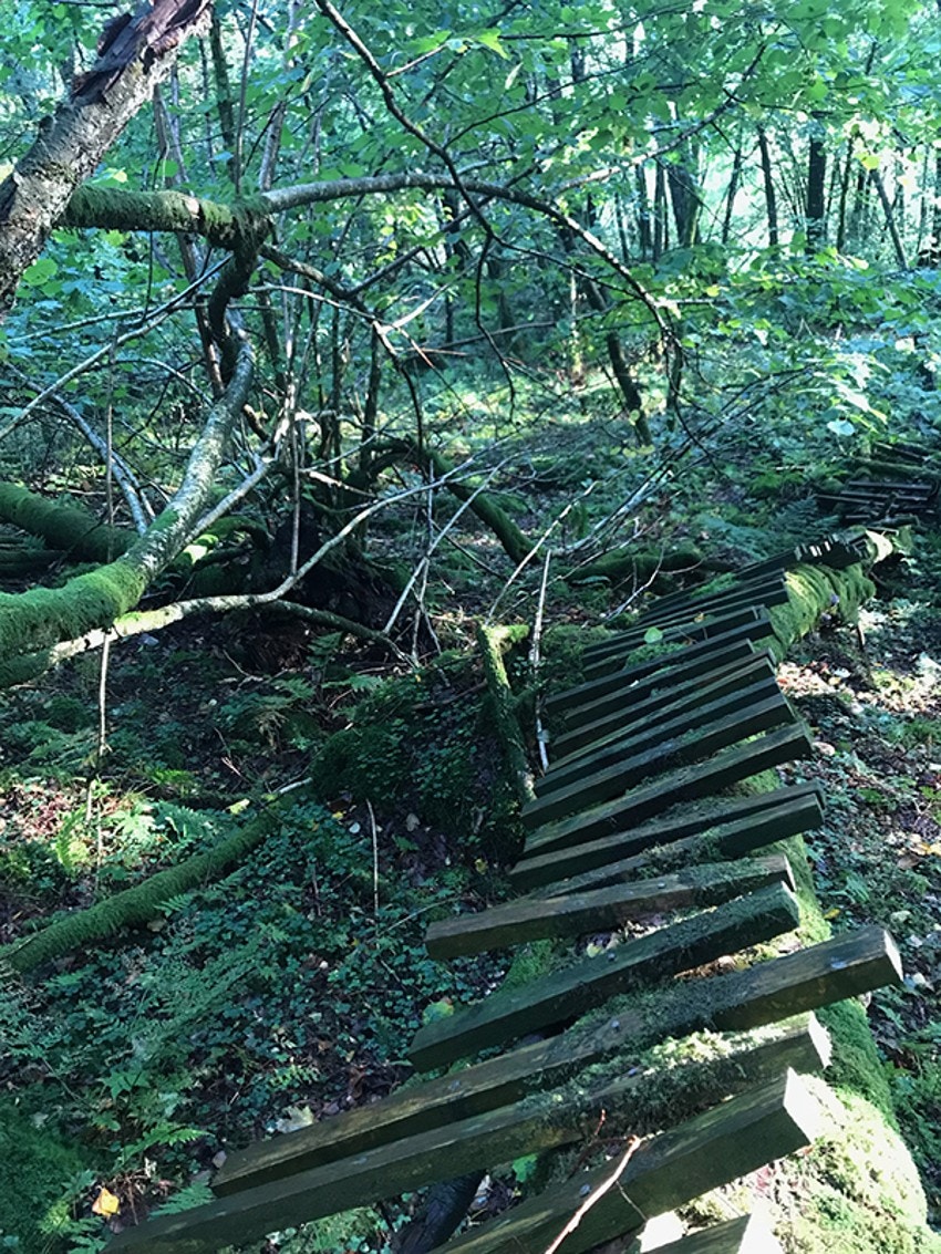 4757700_1-ygipub.jpg Galleribilde