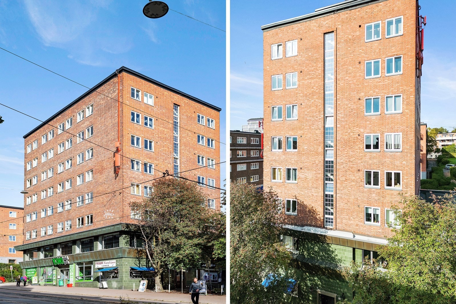 Umiddelbar nærhet til kiwi! Galleribilde