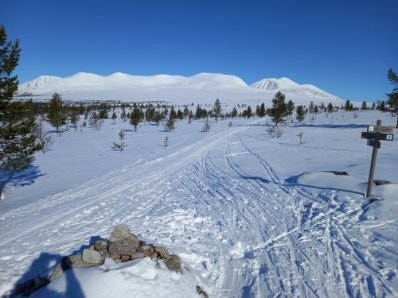 Skiløyper fra innerst i feltet mot Sølen Galleribilde