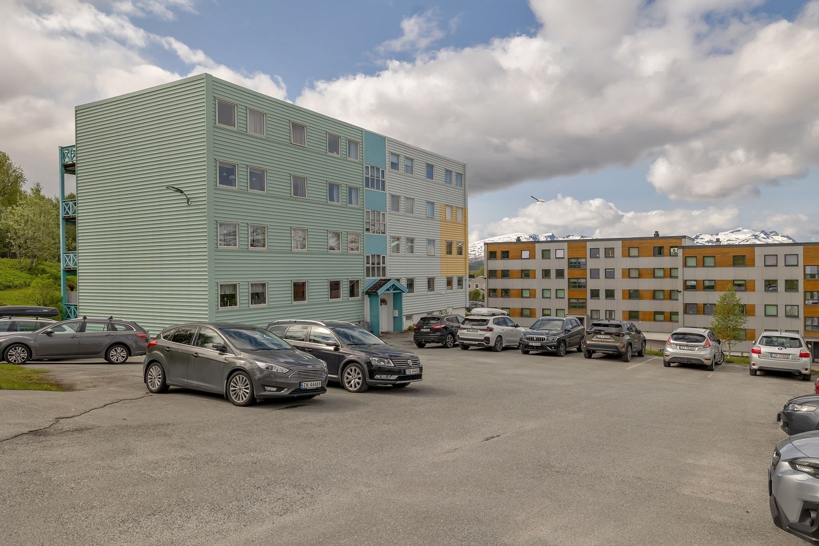 Stærvegen 2! Galleribilde