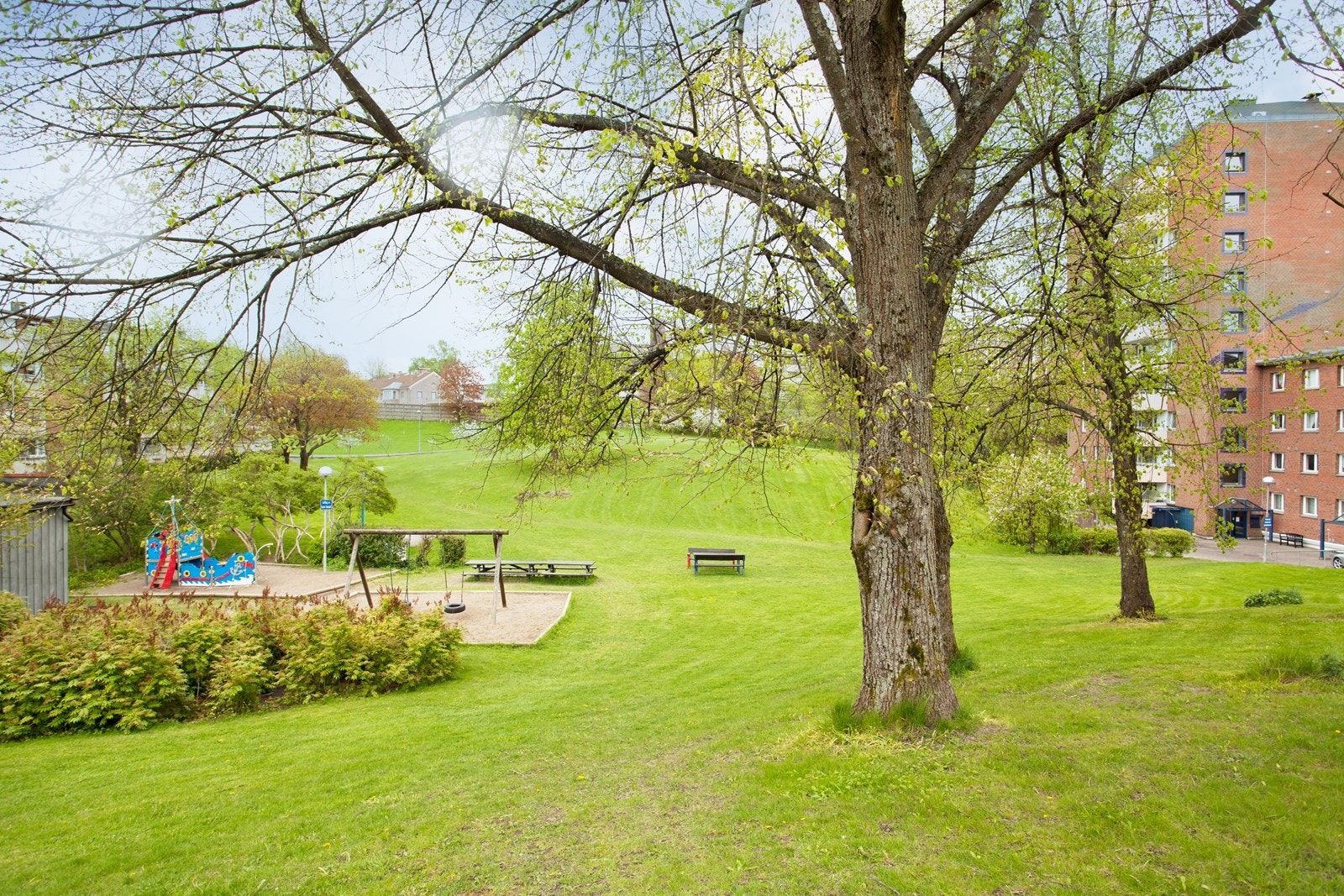 Hyggelig parkmessig område like ved blokken Galleribilde