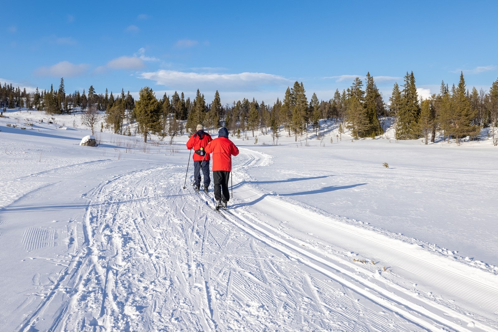 Her starter turen. Praktisk for alle familier. Her kan barna ta sine første stavtak på flata utenfor hytte Galleribilde