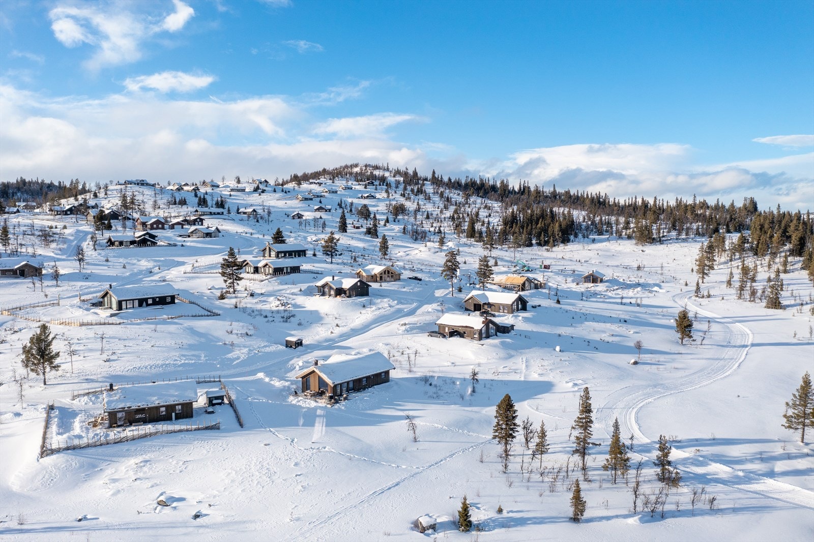 Trivelig hyttefelt med mye luft og solrik helling Galleribilde