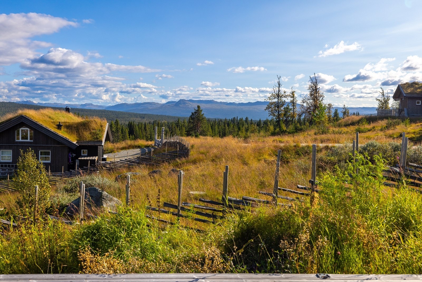Panoramautsikt mot Tunhovdalpene Galleribilde