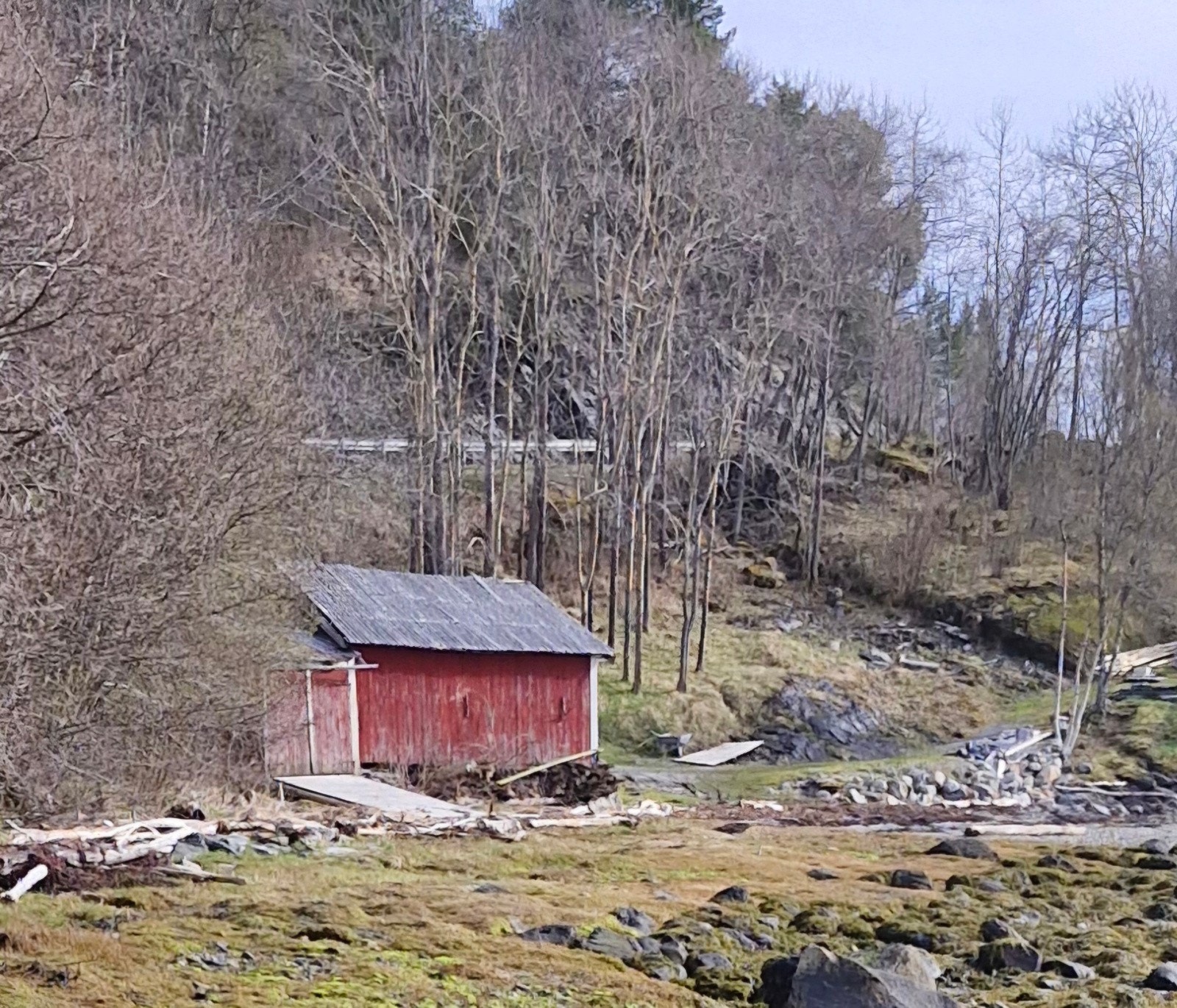 Naust Galleribilde