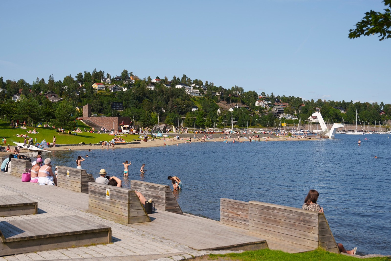 Nærområdet. Galleribilde