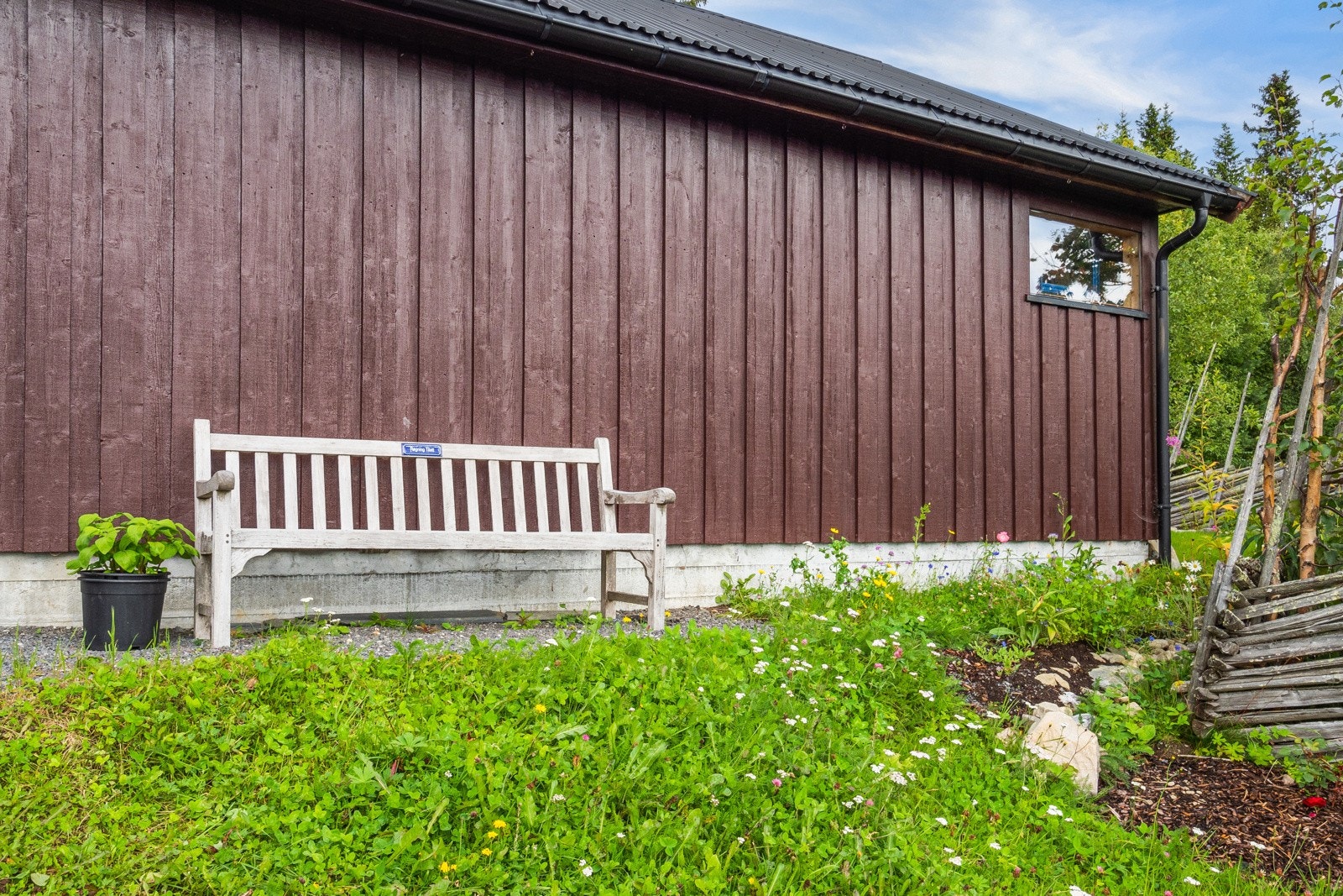 Idyll i hagen som er meget solrik Galleribilde