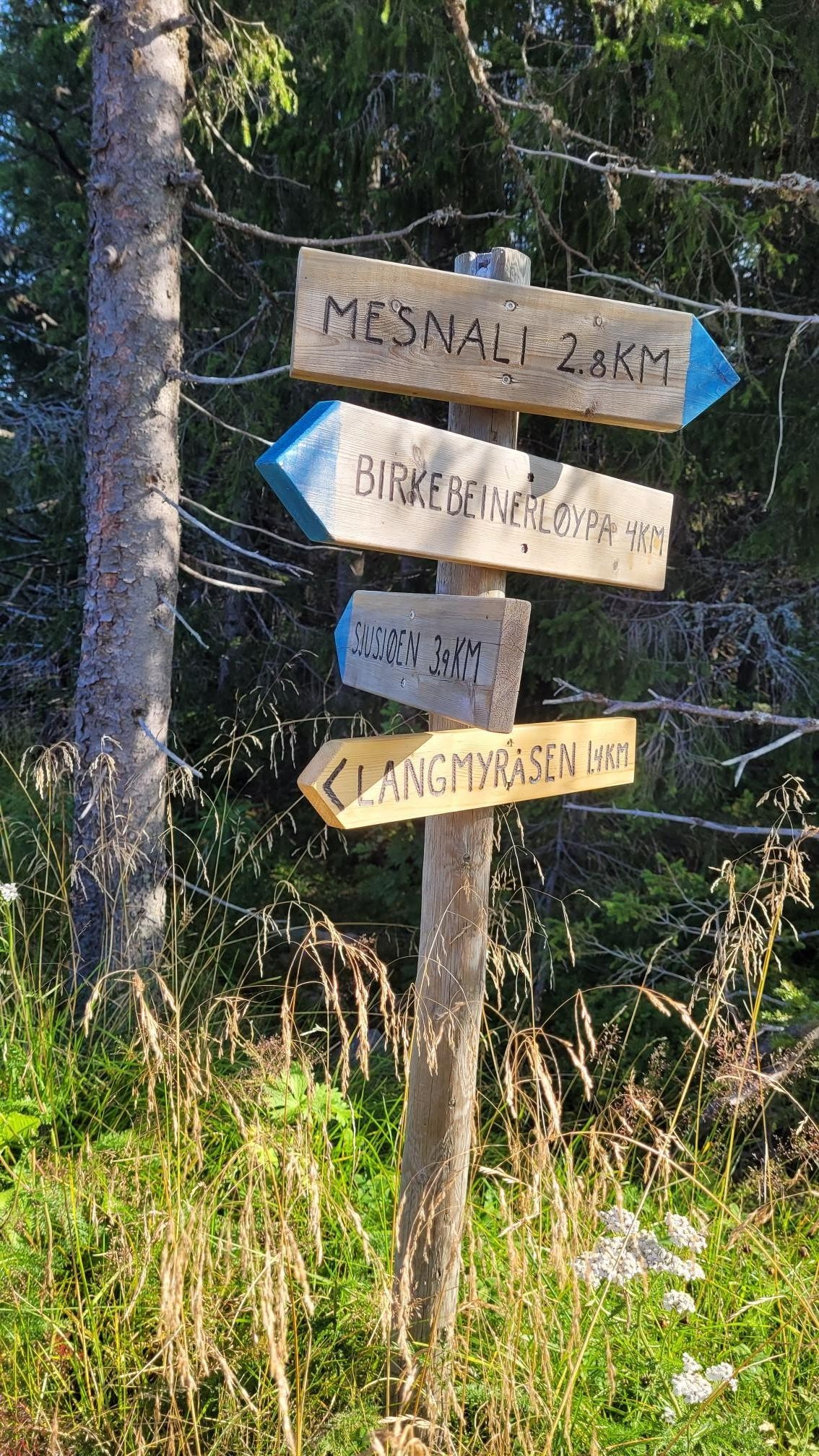 Nærområdet byr på flotte turområder både sommer og vinter. ( Private bilder) Galleribilde