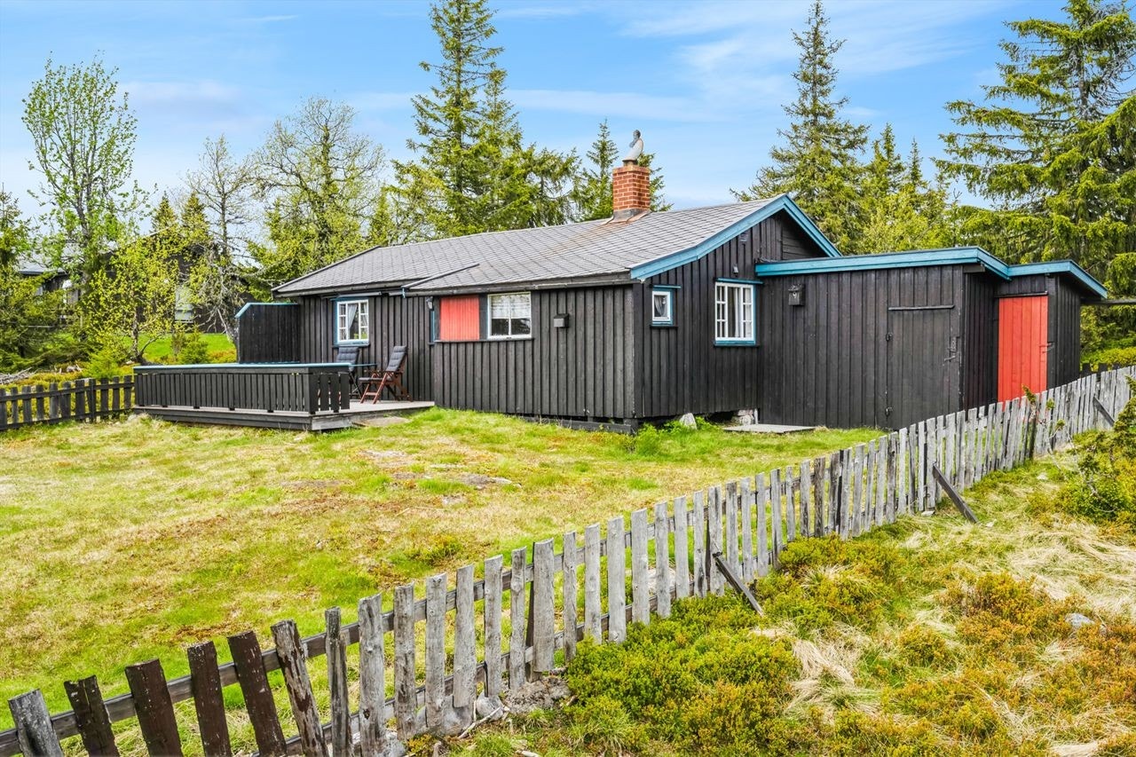 Solrik eiet tomt med stedets naturlig vegetasjon. Galleribilde