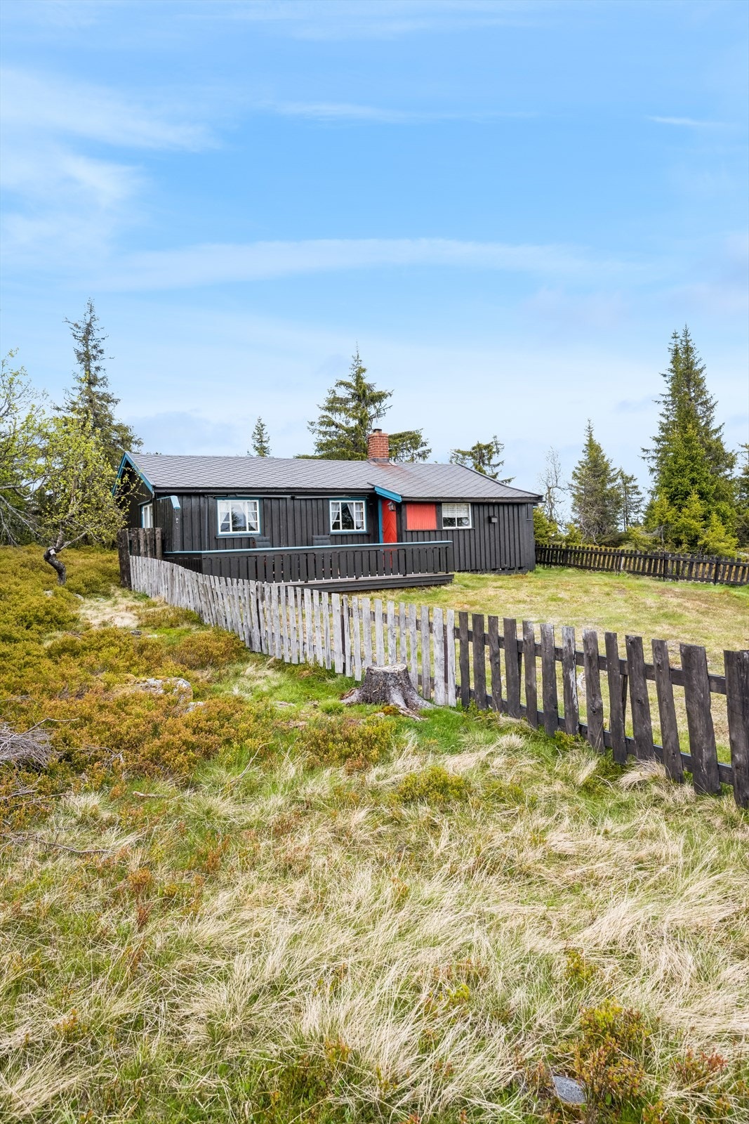 Eiet tomt med fin beliggenhet. Området byr på milevis med godt preparerte skiløyper om vinteren. Galleribilde