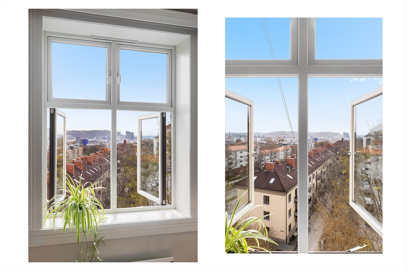 Dype vindusposter, perfekt for pynt og beplantning. Galleribilde