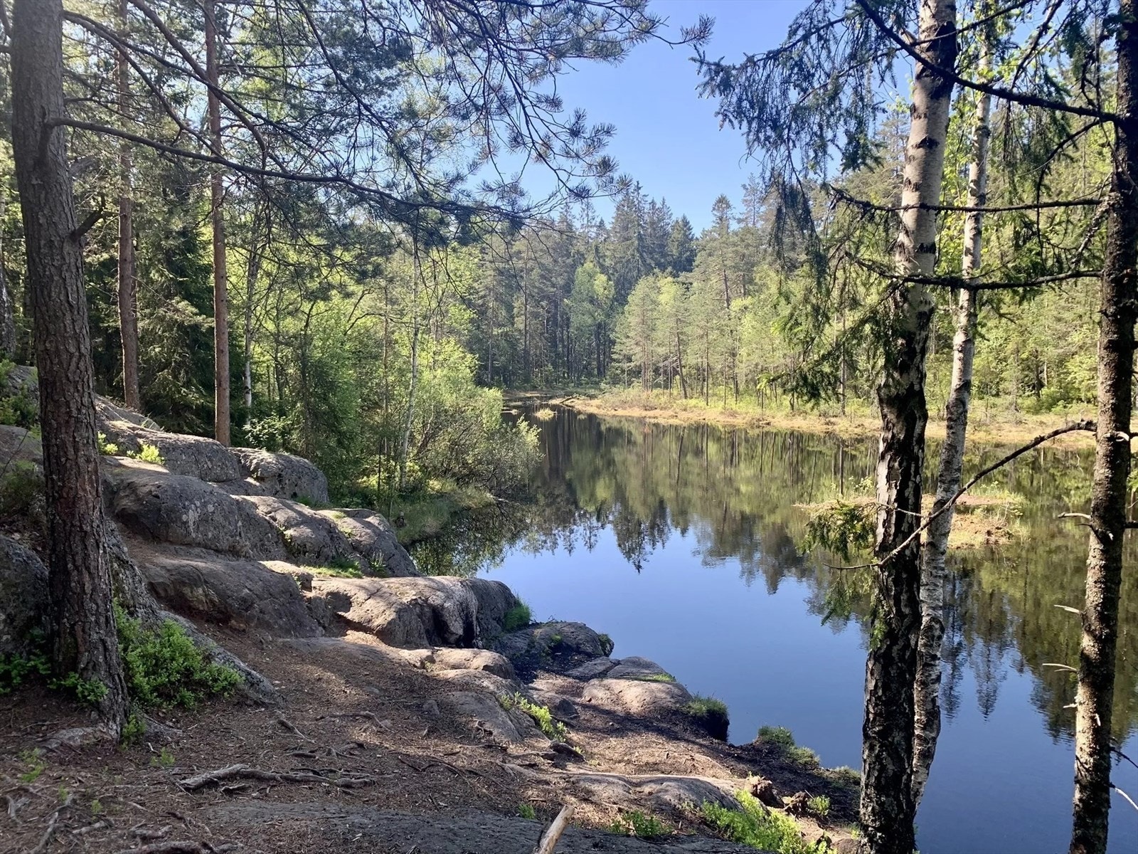 Nærområdet - Ca 400 meters gange til markagrensa. Bilde fra Svartjern, Lørenskog. Galleribilde