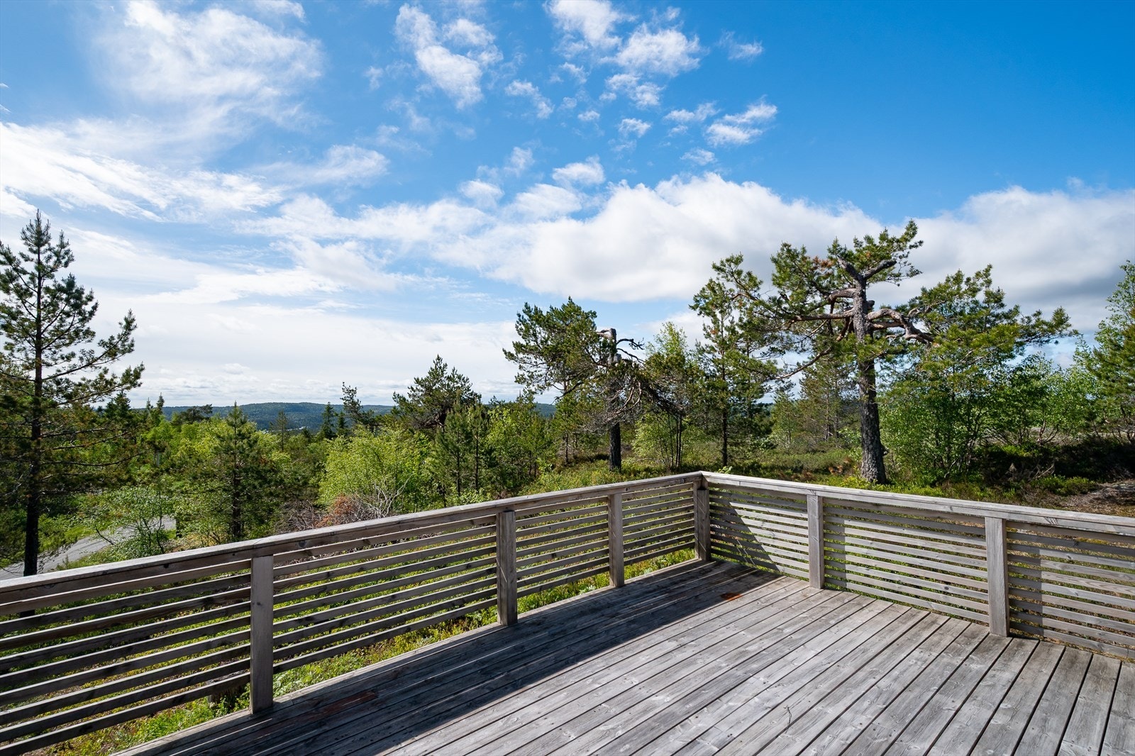 Romslig veranda av trykkimpregnert tre på 56 m2 Galleribilde