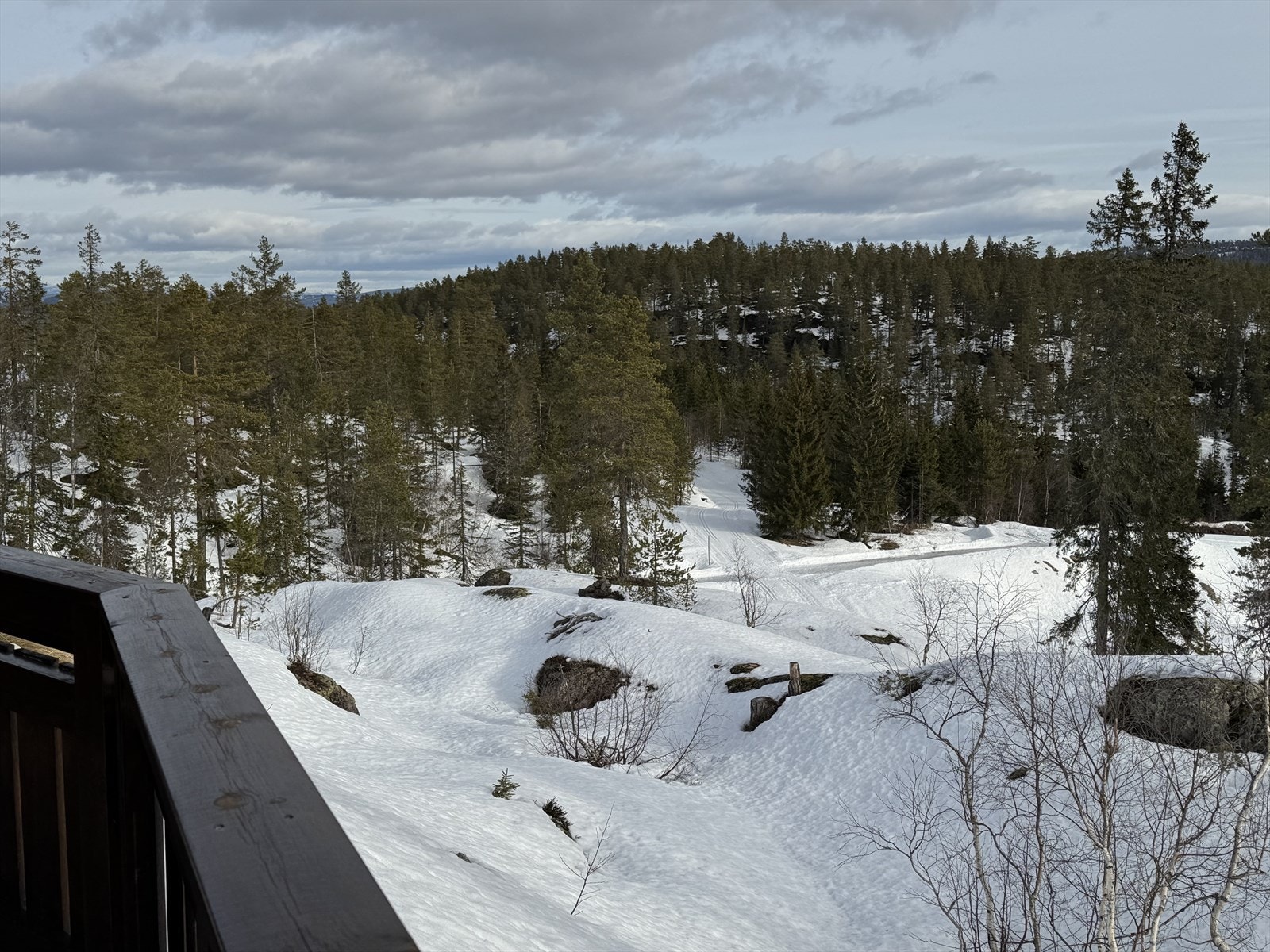 Skiløypene går rett på nedsiden av hytta. Galleribilde
