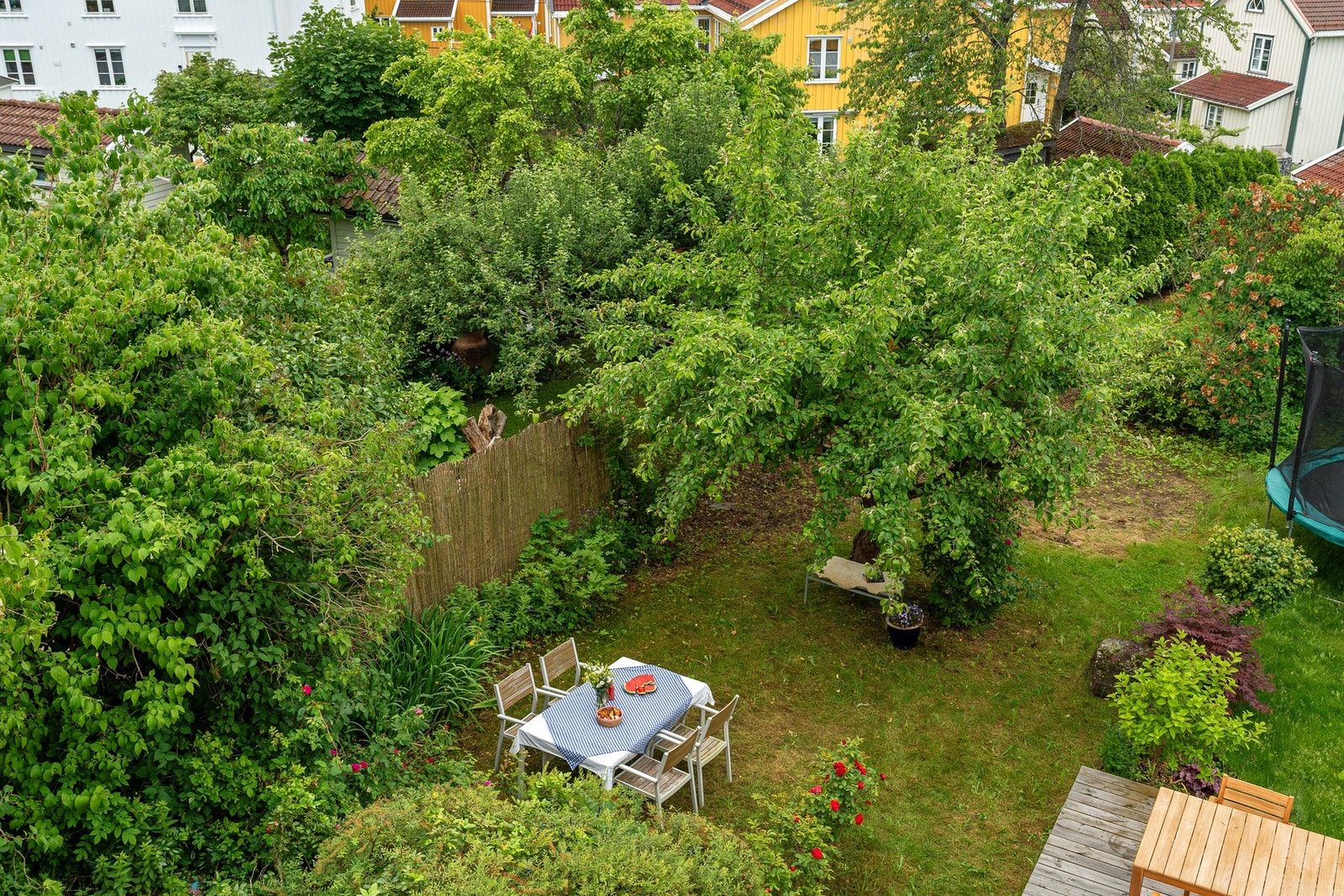 Hagen sett fra balkongen. Galleribilde