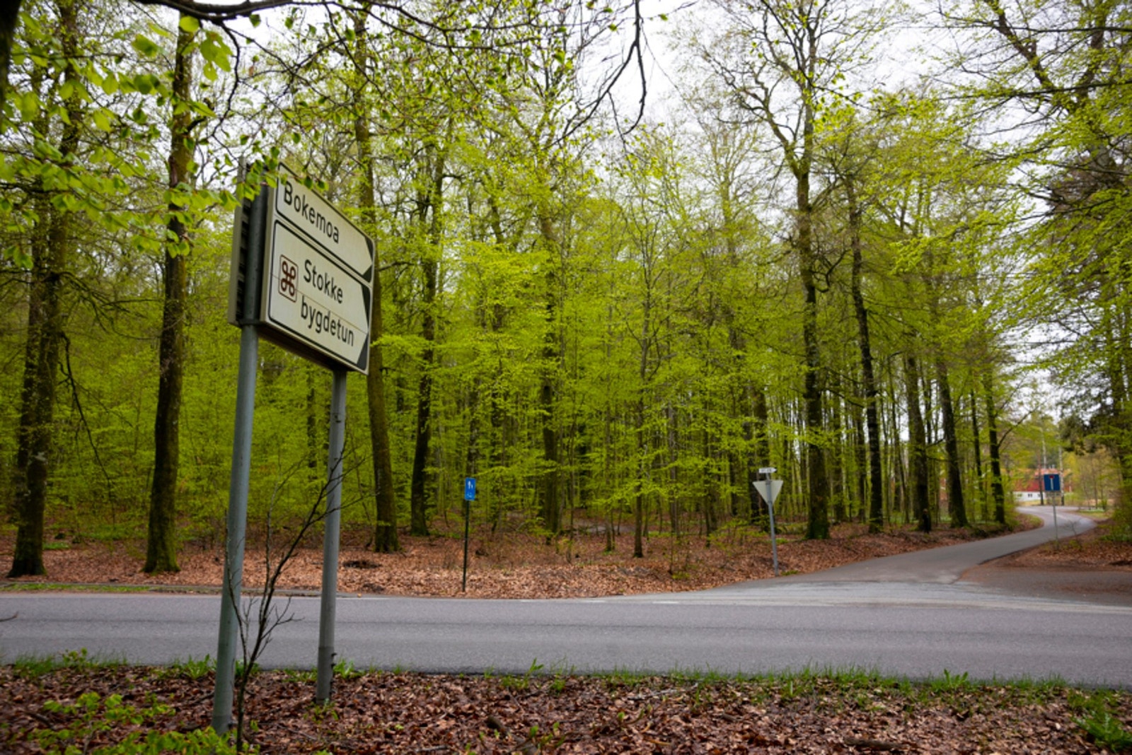 I Bokemoa har du fine turområder og et hyggelig markedsområde Galleribilde