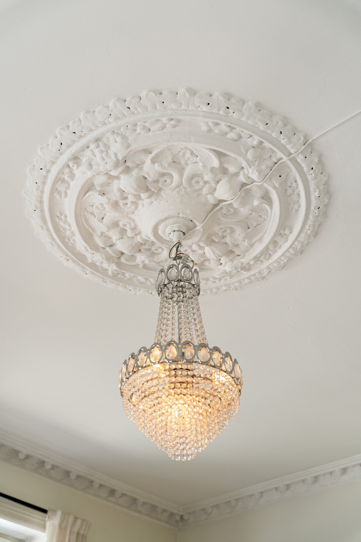 Nydelig rosett. Galleribilde