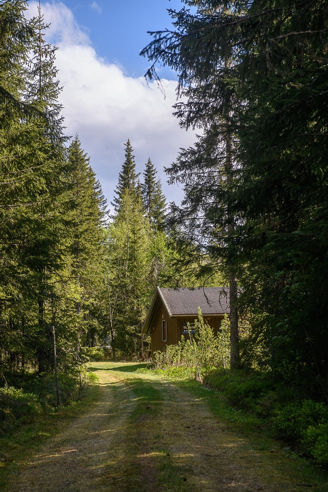 Velkommen til visning! Galleribilde