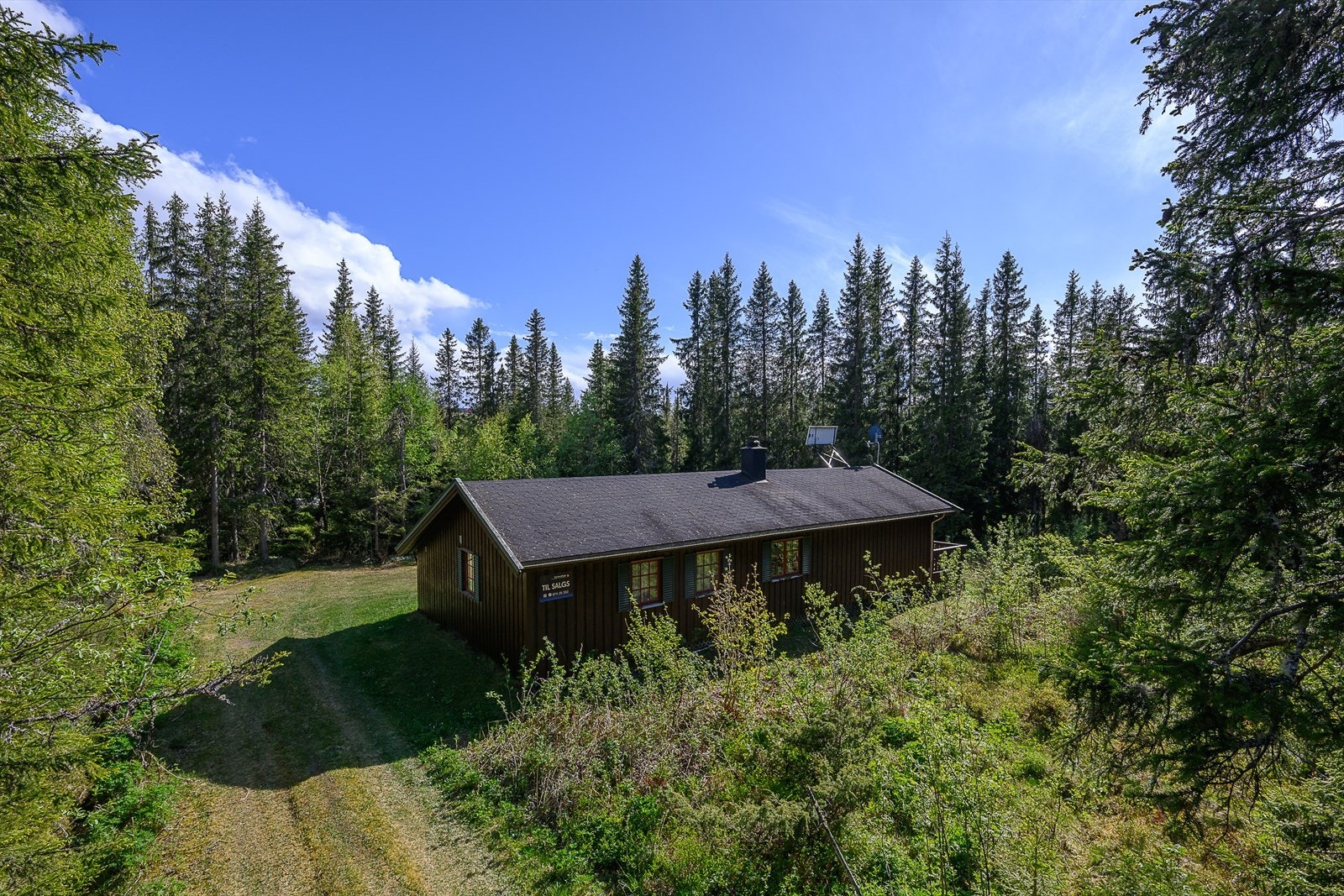 En fritidseiendom med hytte, uthus og romslig tomt, beliggende i Ingeridskogen Galleribilde