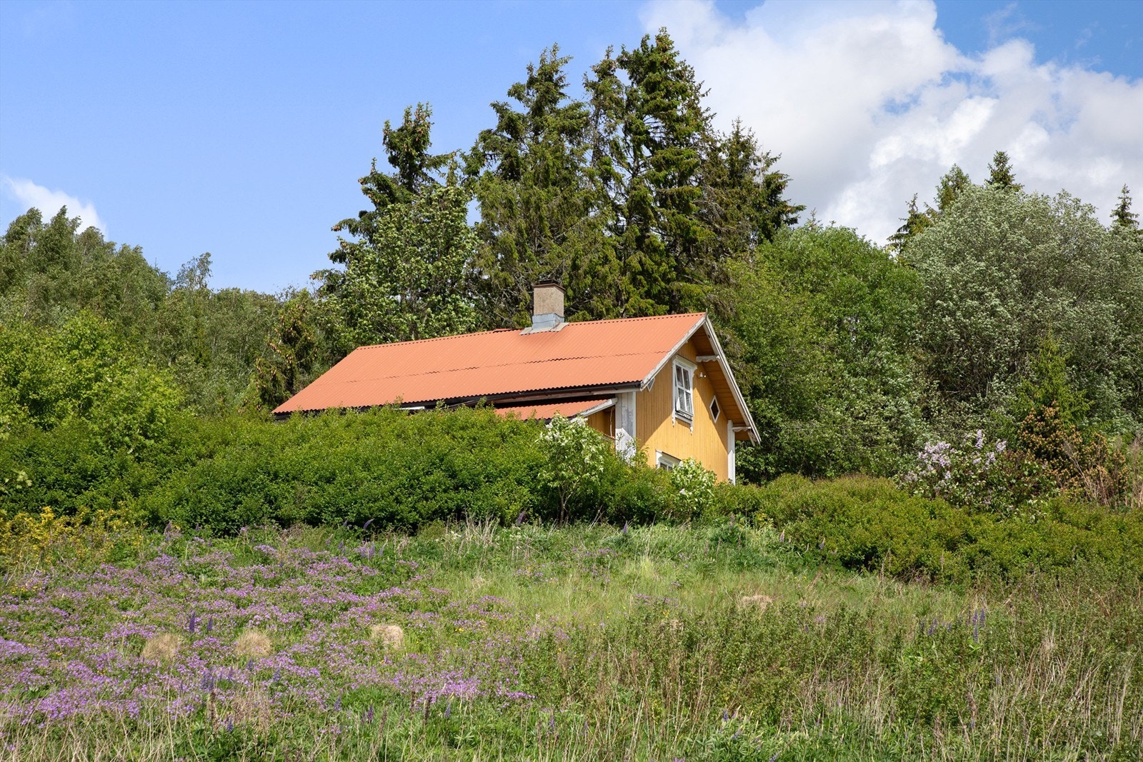 Fin beliggenhet i terrenget Galleribilde